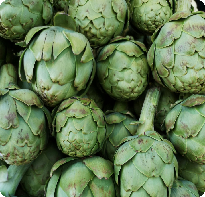 detox detoxification, bitter compounds, artichoke