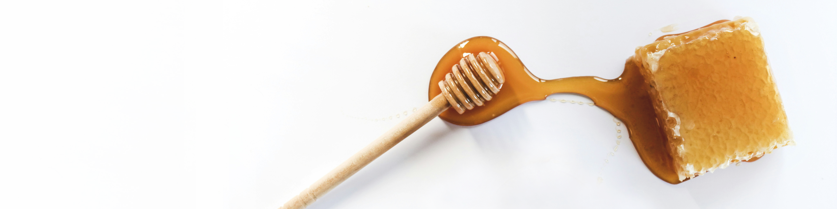 Gesunder Zucker, Honig, ist das gesund