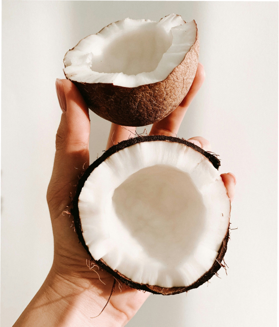 Caprylic Acid Coconut Image