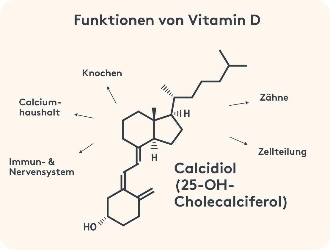 Vitamin D, Funktionen, Struktur Bild