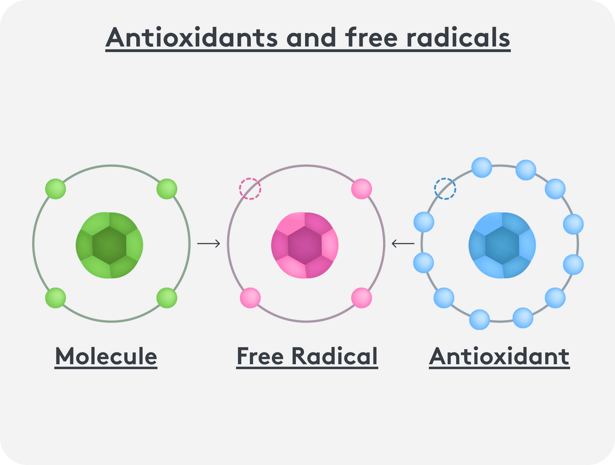 Graphic representation of the effect of antioxidants on free radicals