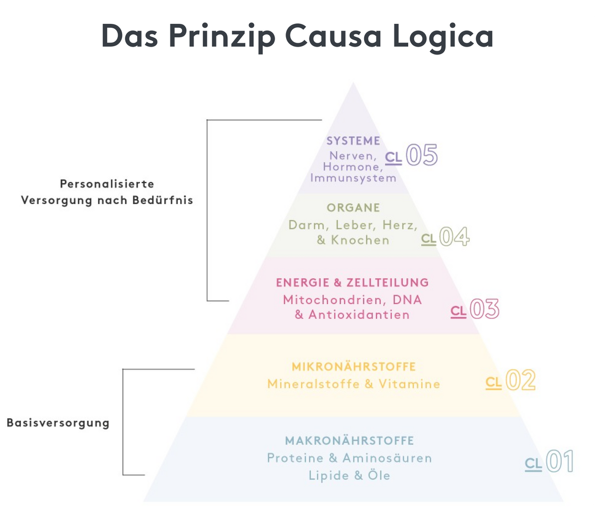 PCL, Principle Causa Logica, explained simply Infographic, Mitocare