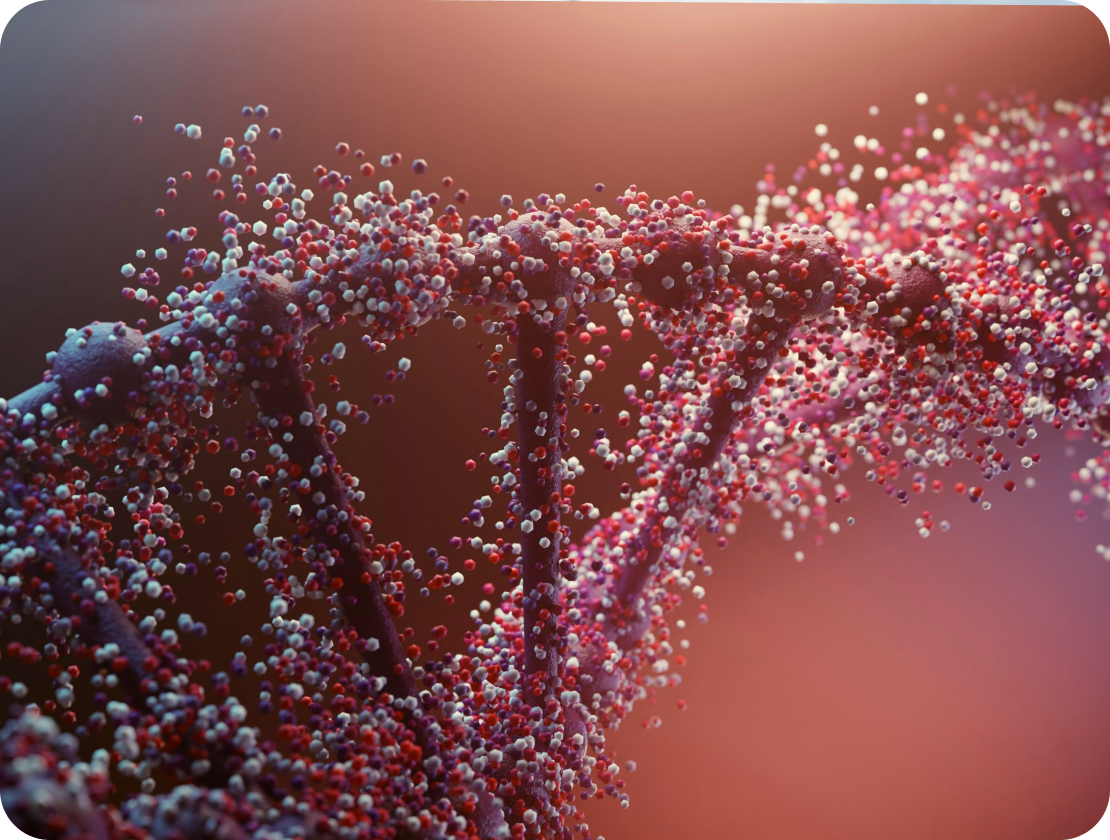 Exome Aminosäuren Mitocare Bild