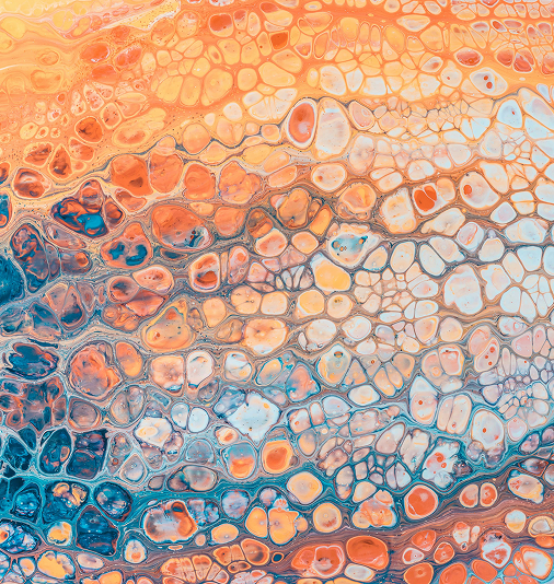 Mitochondrien Bild