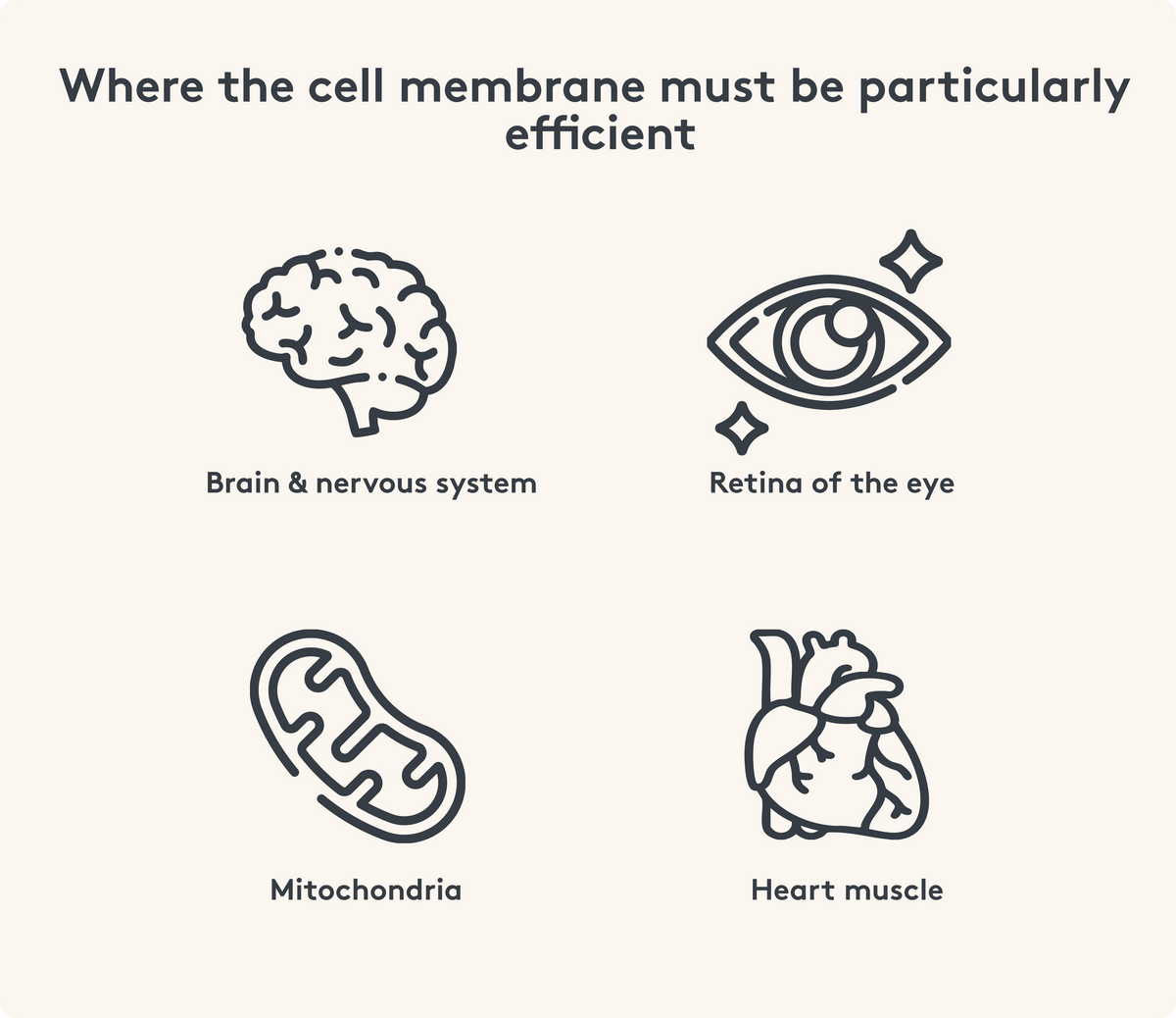 What we need the cell membrane for Image