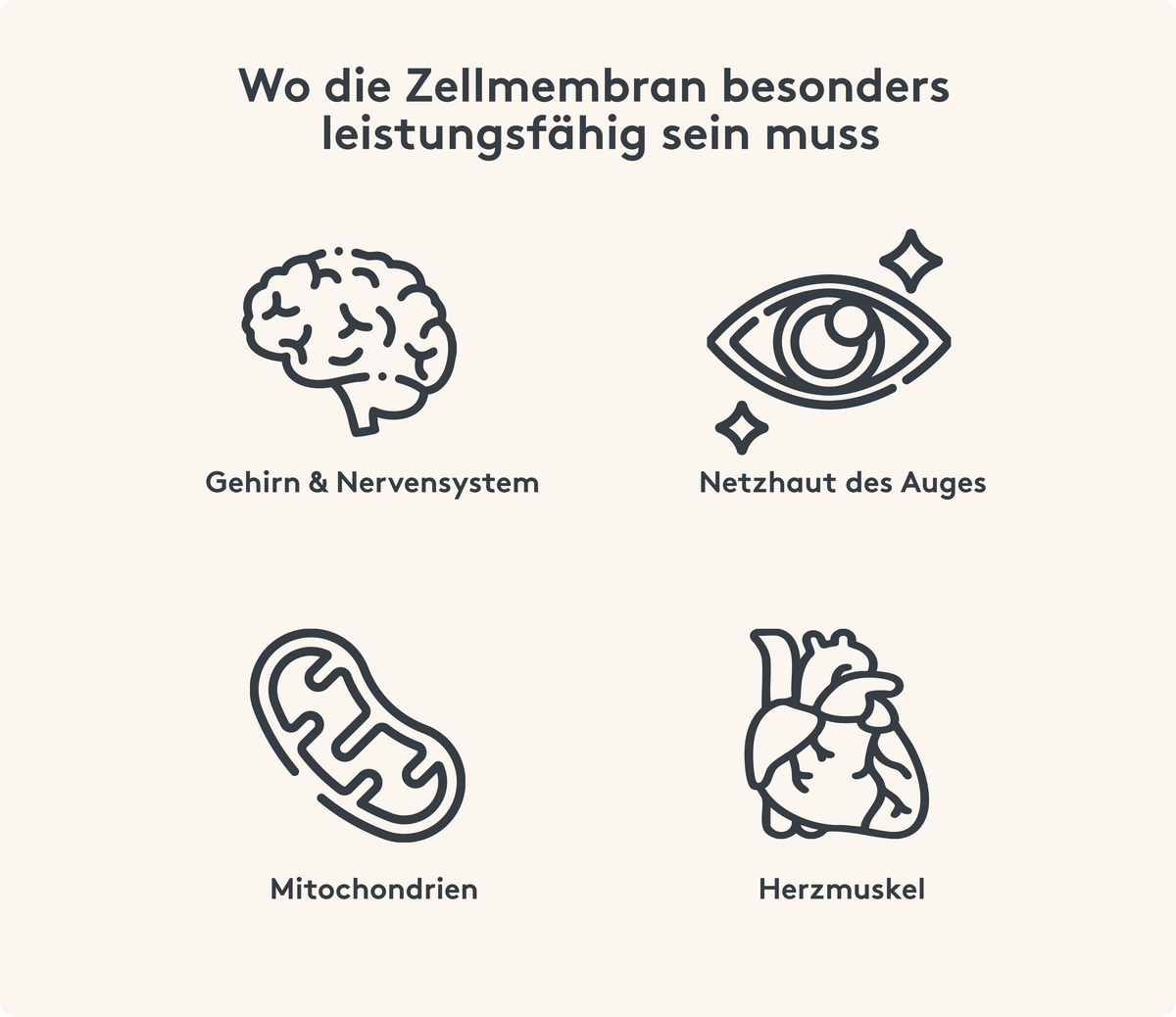 Wofür wir die Zellmembran benötigen Bild