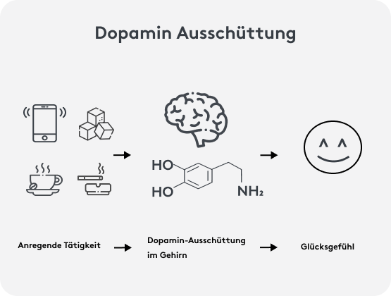 Dopamin Ausschüttung im Gehirn, Erzeugung vom Gluecksgefühl, Grafik Wirkung im Gehirn
