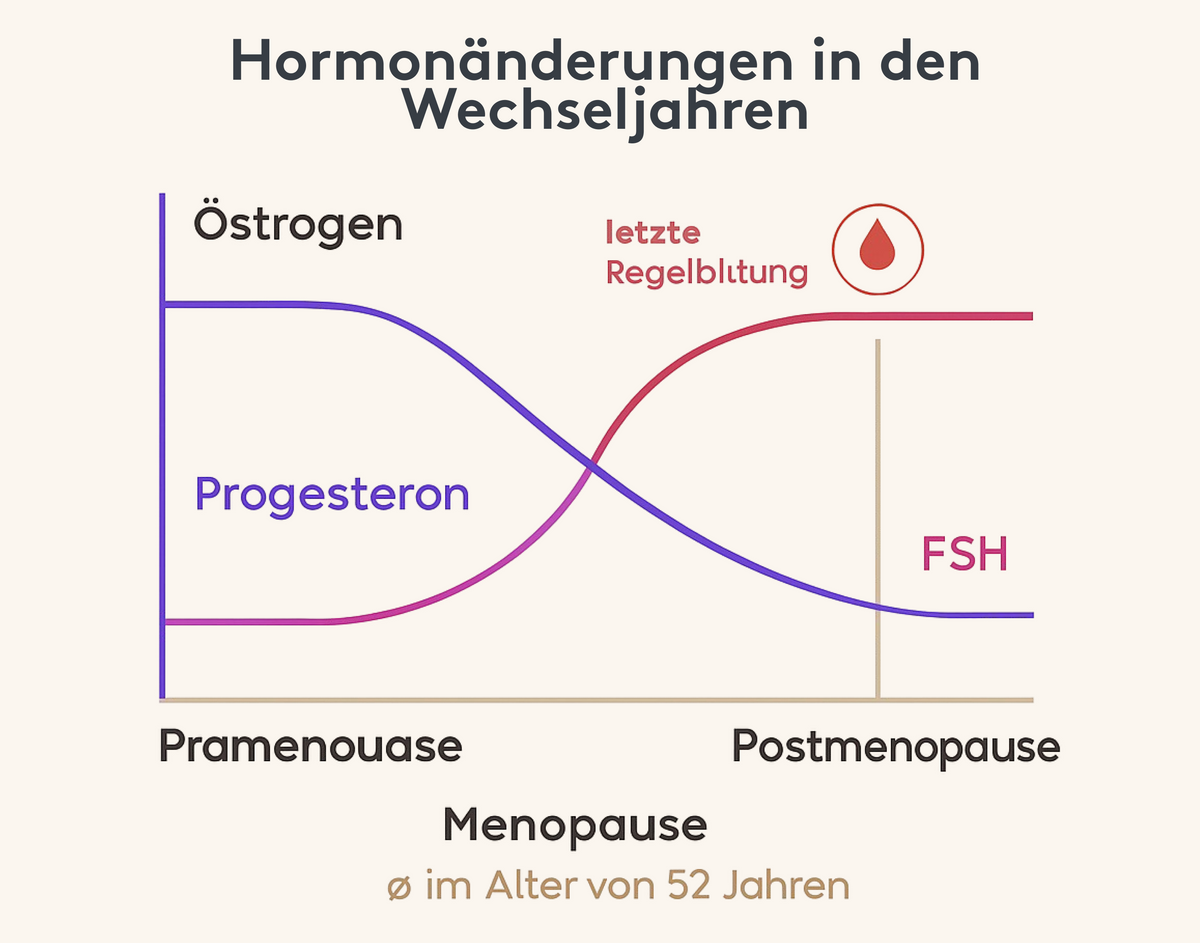 Grafische Darstellung der Struktur von Nukleotiden