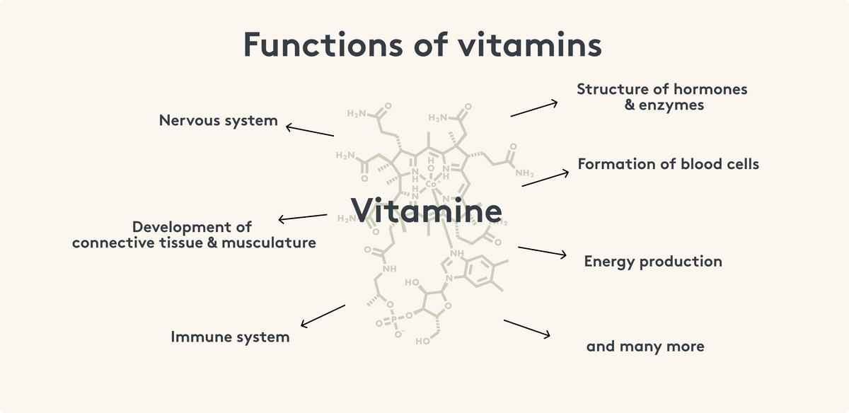 Functions of vitamins, benefits of vitamins (Image)