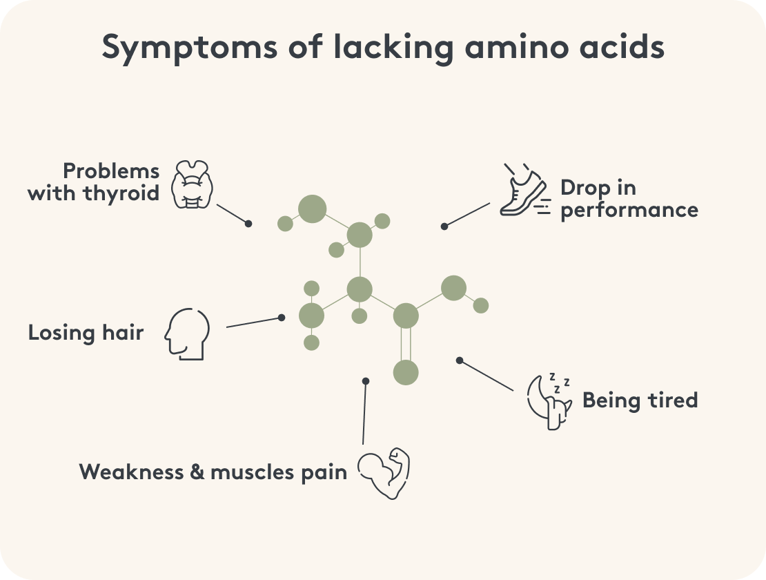 Symptome eines Aminosäuremangels Infografik