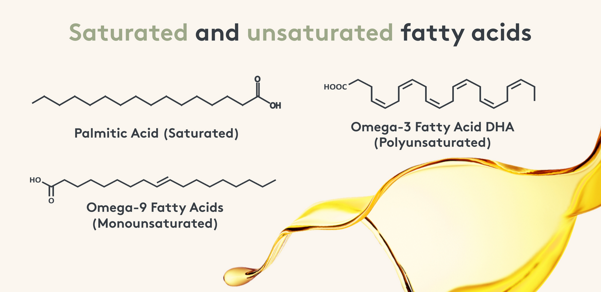 Graphical representation of the chemical composition of saturated and unsaturated fatty acids