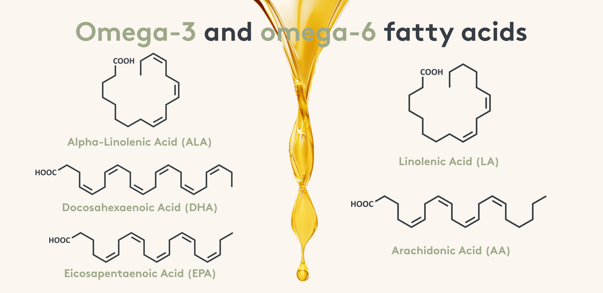 Grafische Darstellung der Struktur von Omega-3- und Omega-6-Fettsäuren