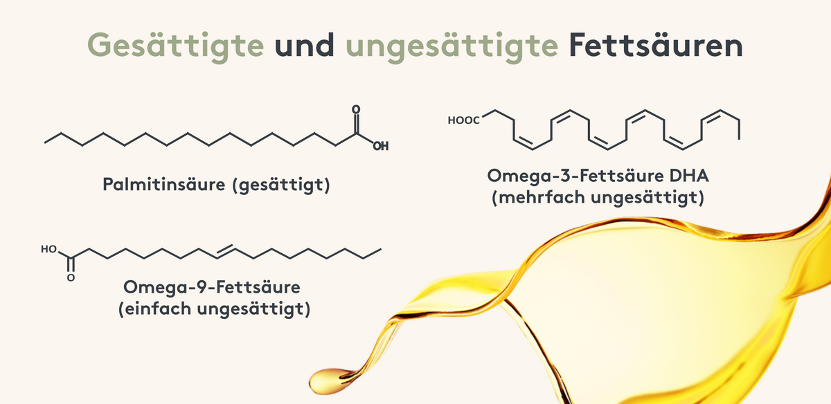 Grafische Darstellung der chemischen Zusammensetzung von gesättigten und ungesättigten Fettsäuren