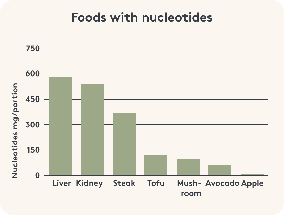 Overview of the amount of nucleotides that the body can absorb through food or as free nucleotides
