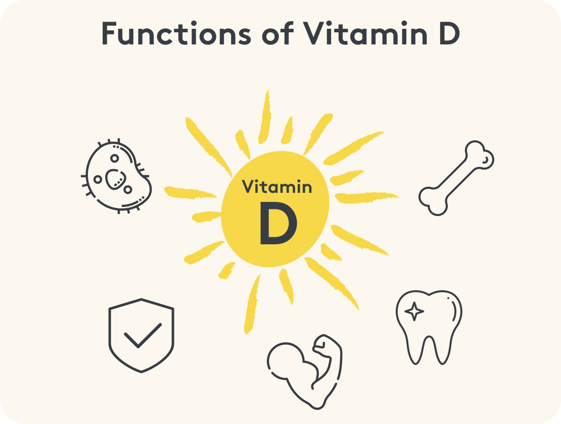 Funktionen von Vitamin D, grafisch dargestellt