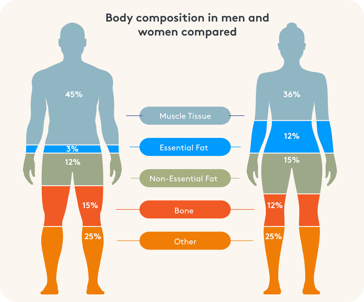 Body composition in men and women compared