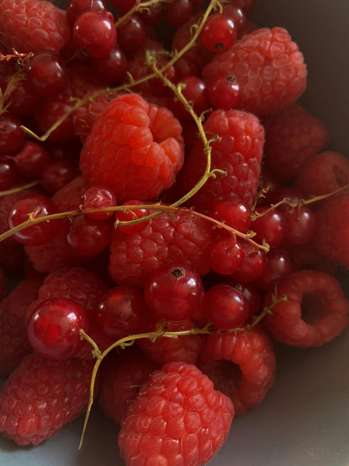 Darstellung Resveratrol Lebensmittel