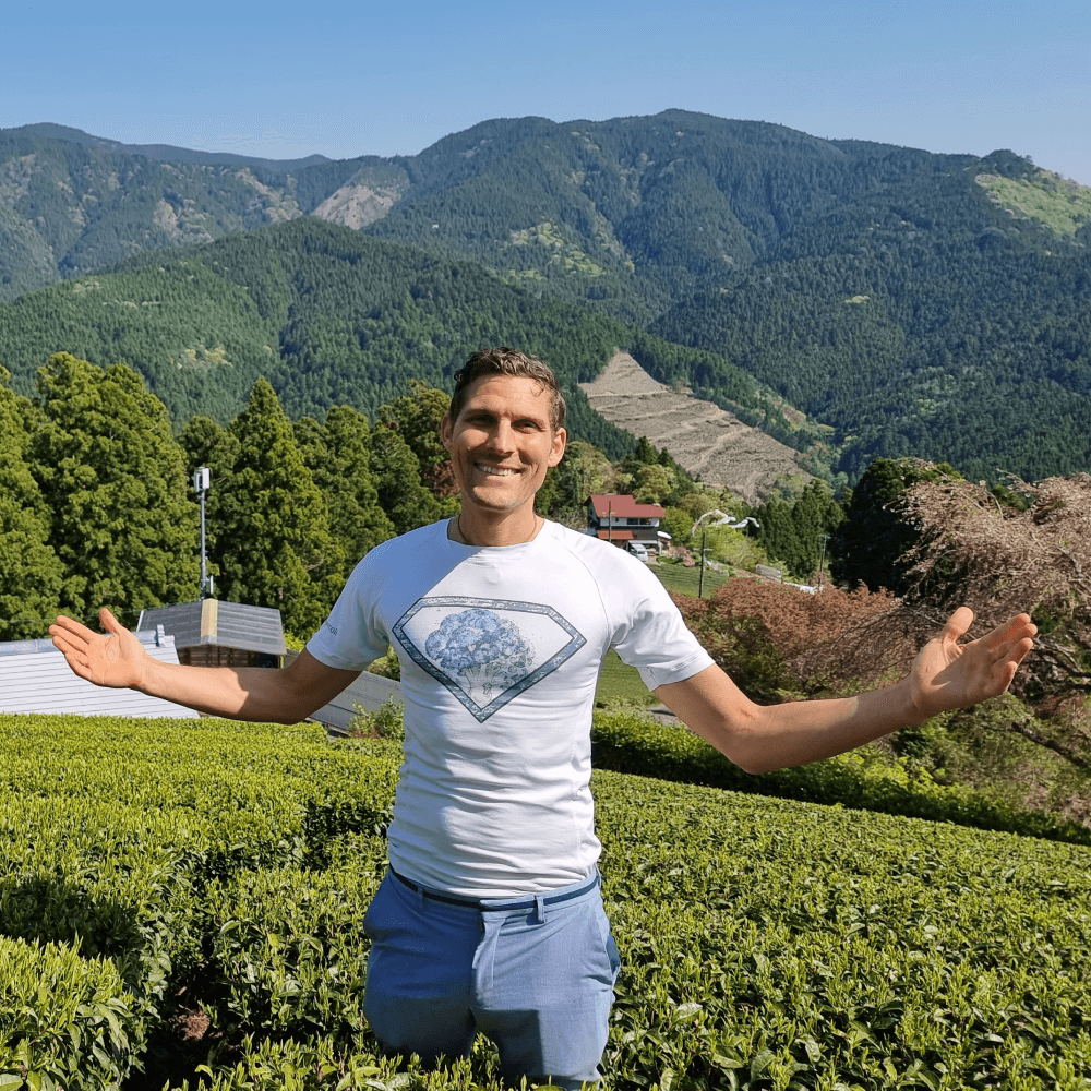 mr.broccoli im Matcha Feld