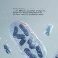 Mitochondrien Formula Sport