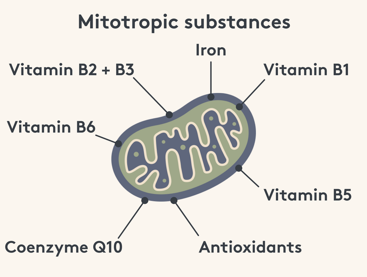 Mitotropic Substances Mitochondria