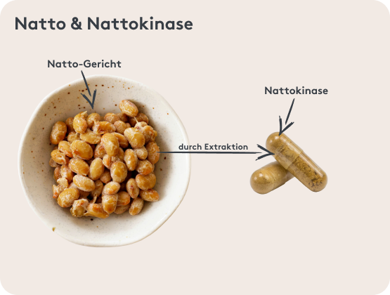 Nattokinase wird aus fermentierten Sojabohnen gewonnen