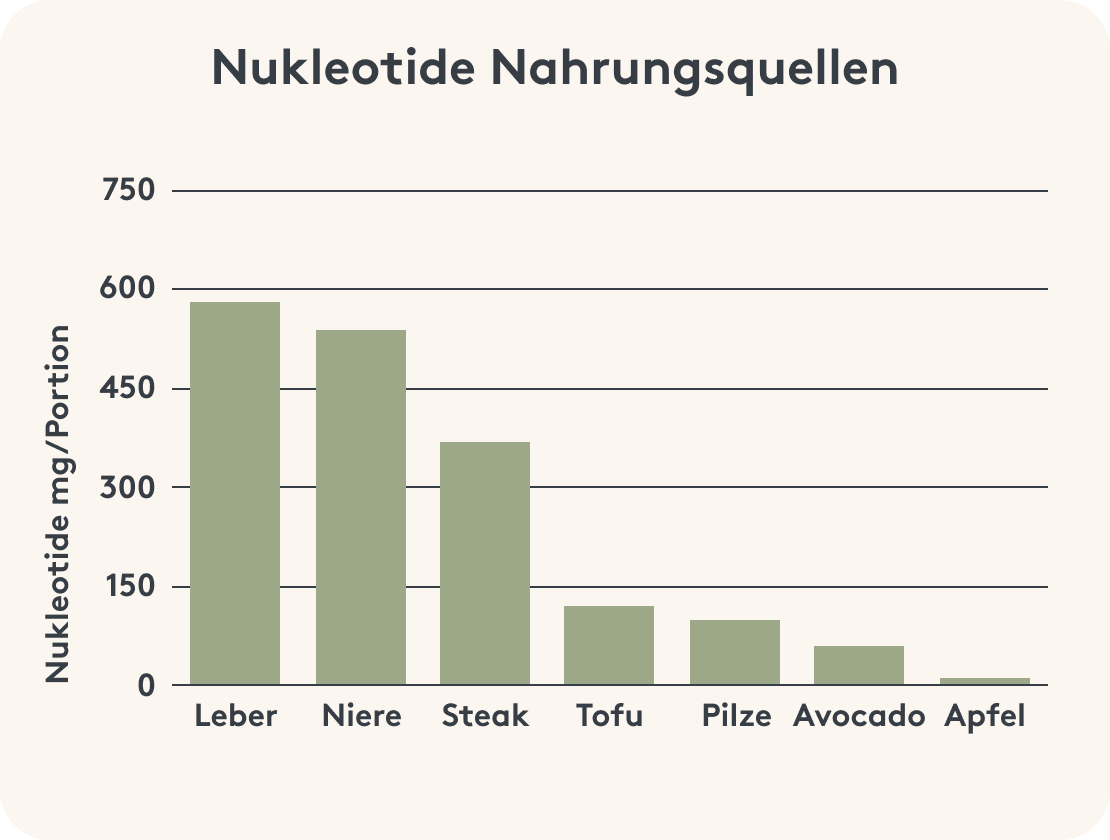 Übersicht über Nahrungsmittel, die Nukleotide enthalten