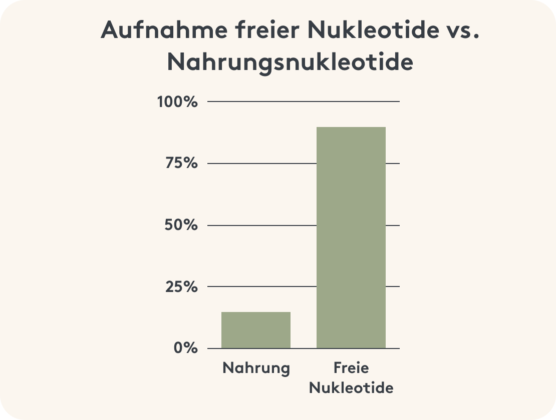 Übersicht über die Menge an Nukleotiden, die der Körper über die Nahrung oder als freie Nukleotide aufnehmen kann