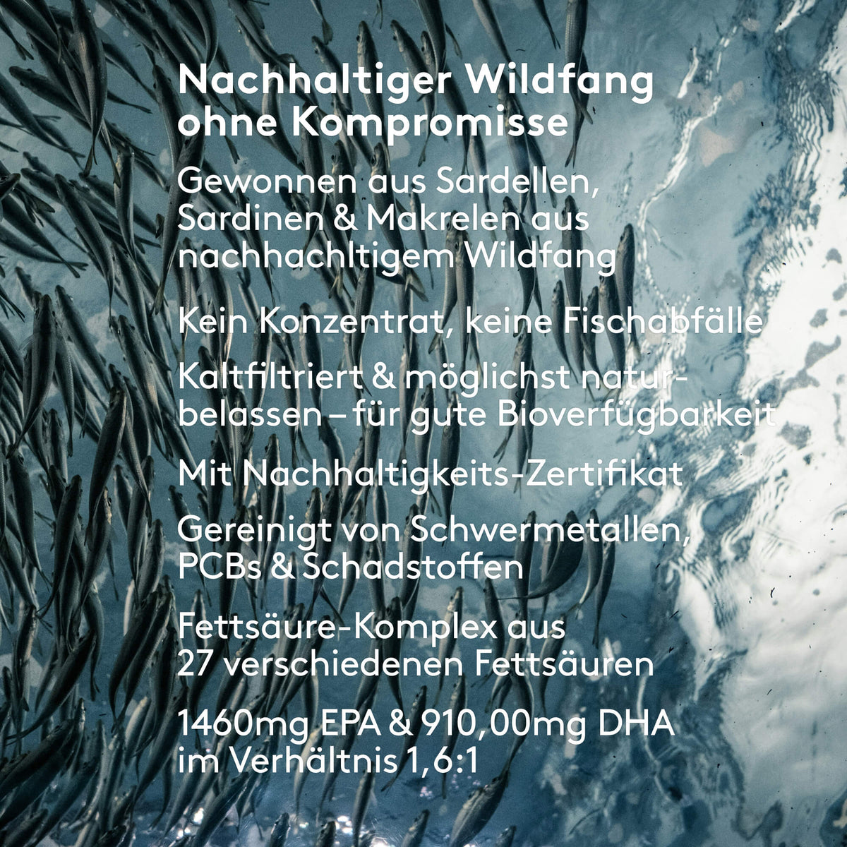 Nachhaltiger Fischfang Info Premium Omega 3 Öl