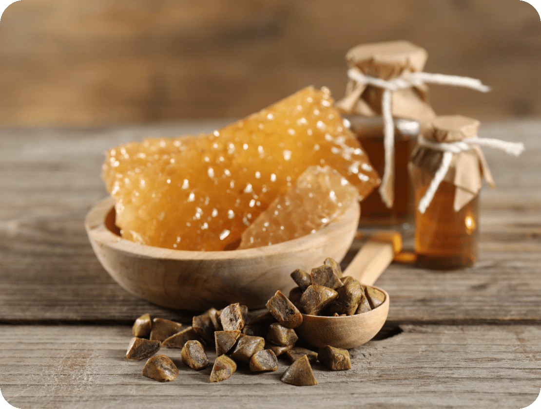 Propolis Bild