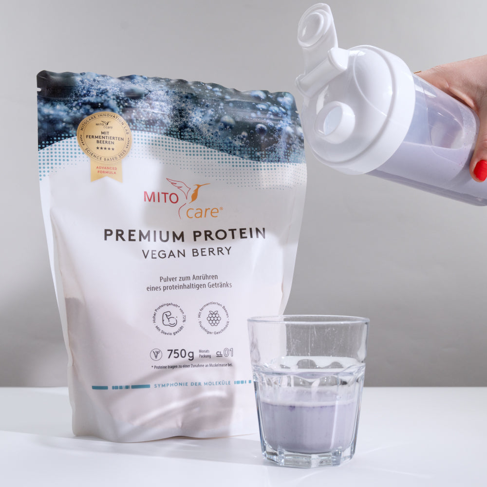 Vegan Protein - Fermentierte Beeren