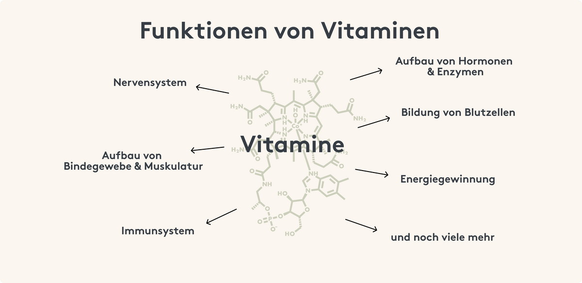 Funktionen von Vitaminen, Vorteile Vitamine Bild