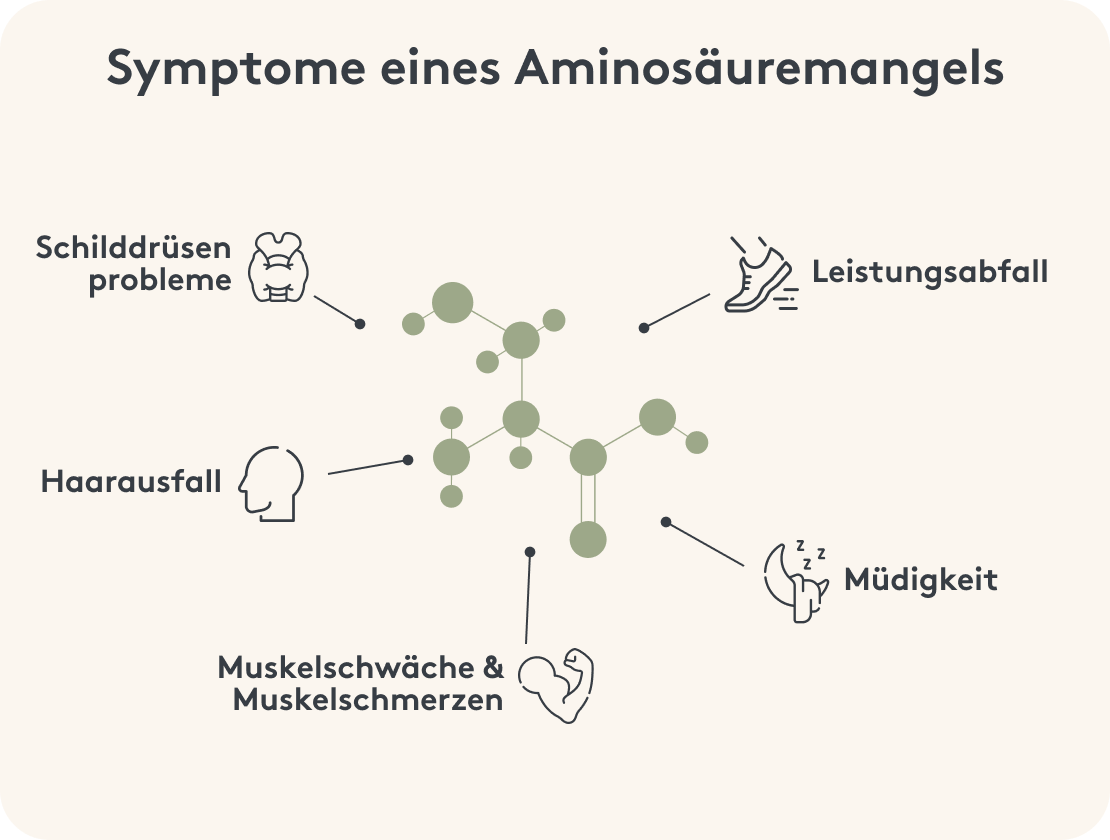 Symptome Aminosäuremangel Infografik