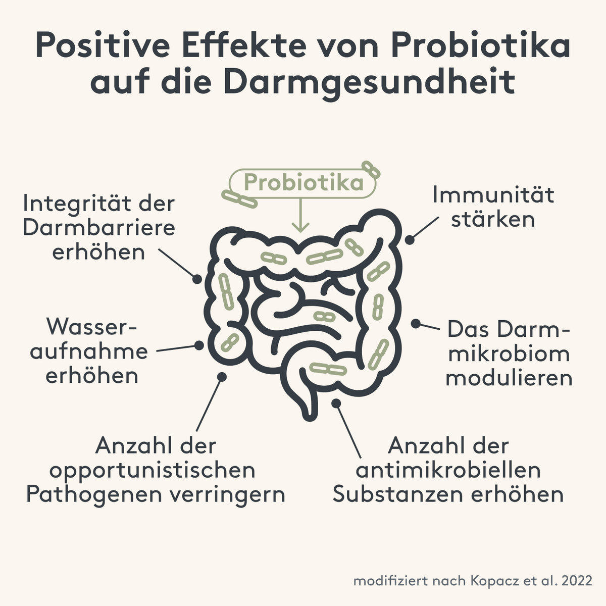 Detox Entgiftung, Bitterstoffe, Artischocke Bild