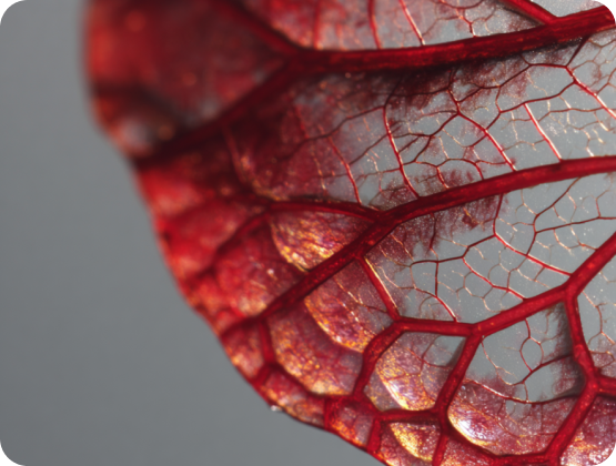 Regulierte Entzuendungsprozesse, rotes Blatt das Enzuendung bedeutet