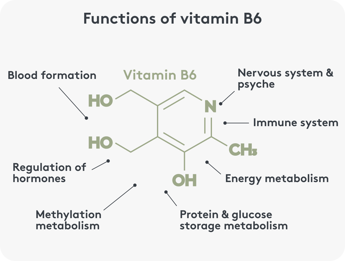 Graphic representation of the function of vitamin B6