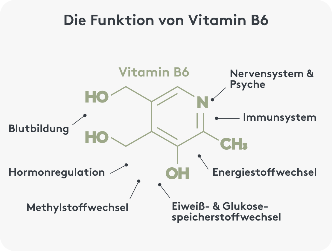 Grafische Darstellung der Funktion von Vitamin B6
