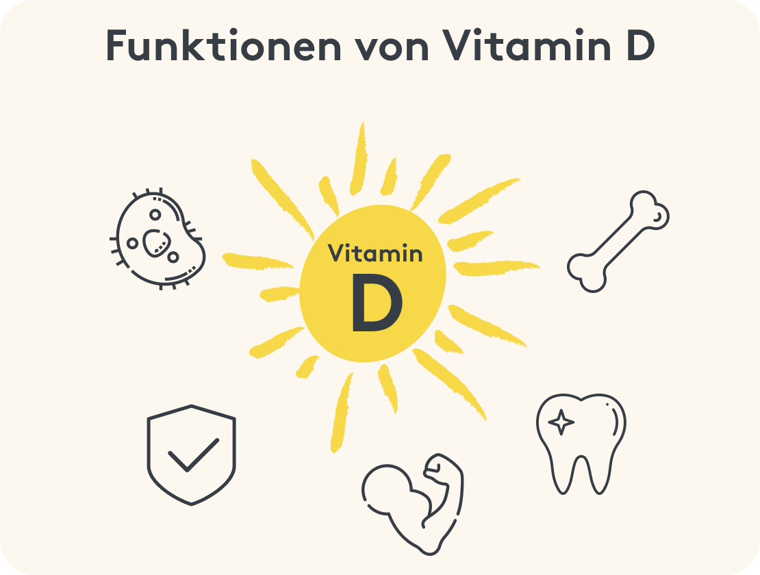 Funktionen von VItamin d, grafisch dargestellt