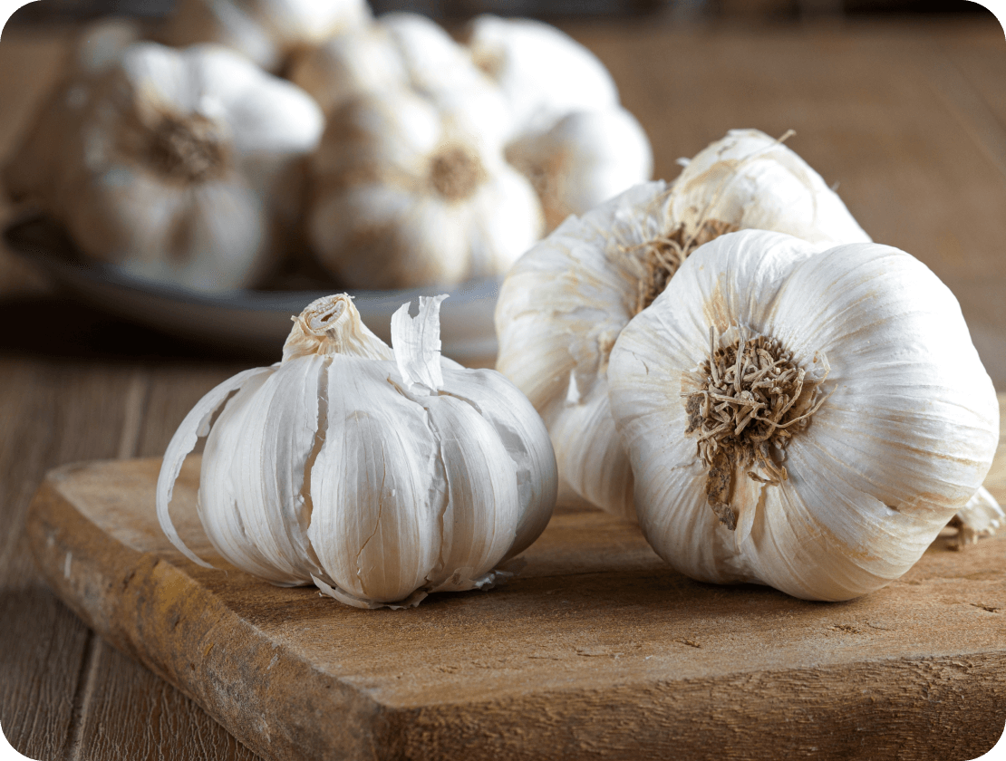 Knoblauch Wirkung Erkältung Bild