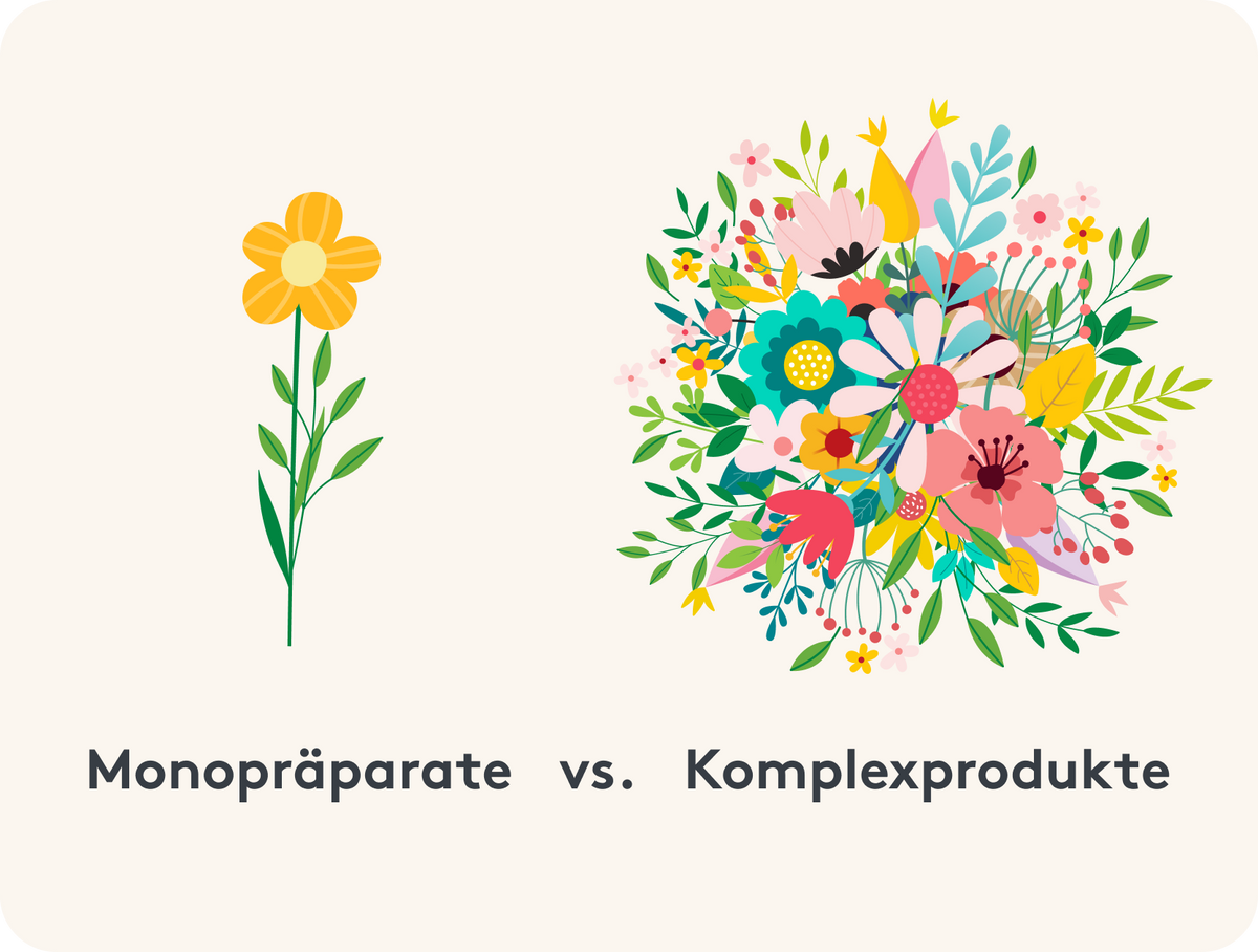 Bild Blume links "Monopräparate" rechts Blumenstrauß "Komplexprodukte"