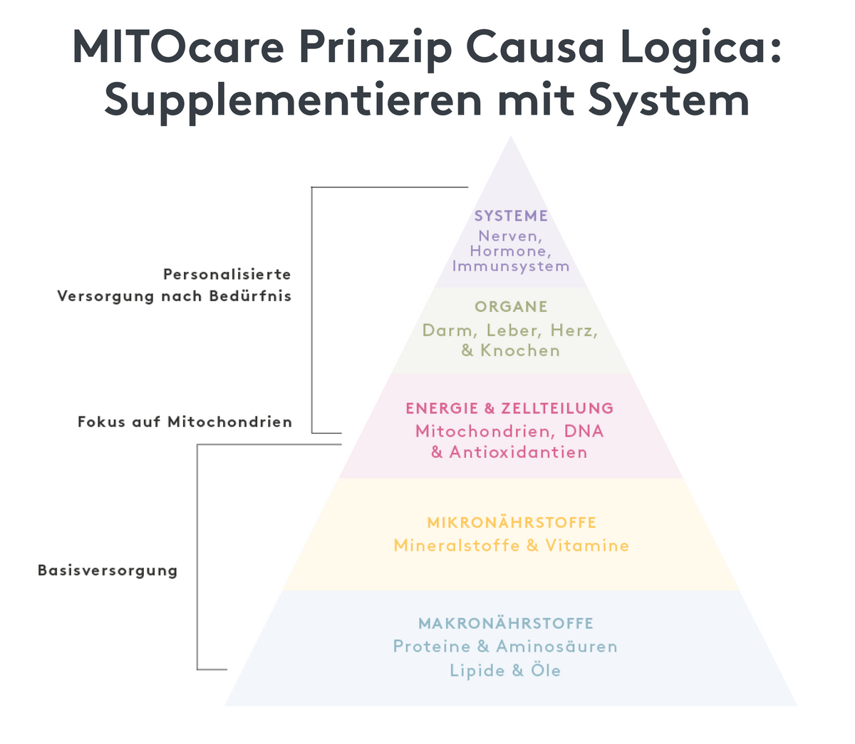 PCL, Prinzip Causa Logica, einfach erklärt Infografik, Mitocare
