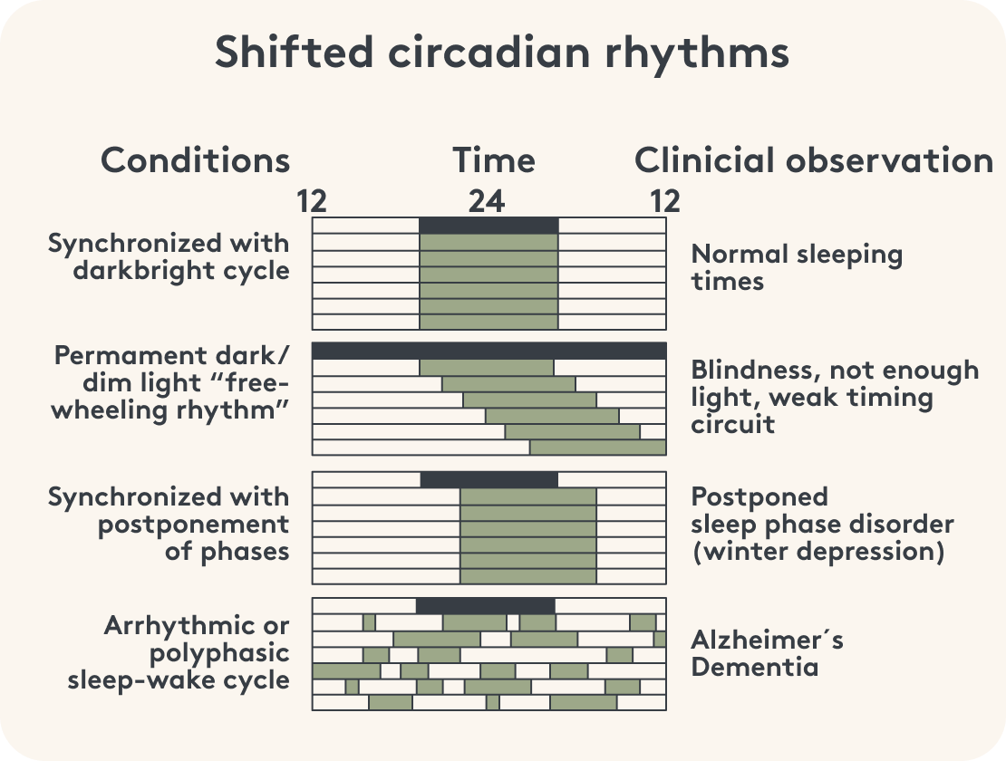 Graphic representation of a shifted circadian rhythm