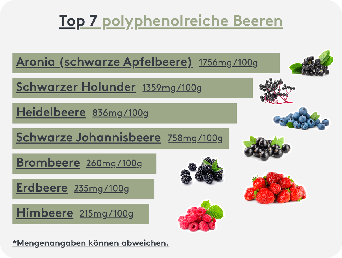 Übersicht der Top-7-Beeren, die sekundäre Pflanzenstoffe mit antioxidativer Wirkung enthalten