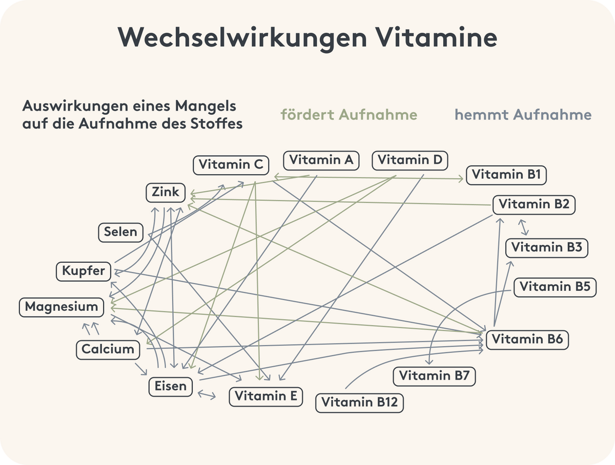 Infografik Wechselwirkungen von Vitaminen